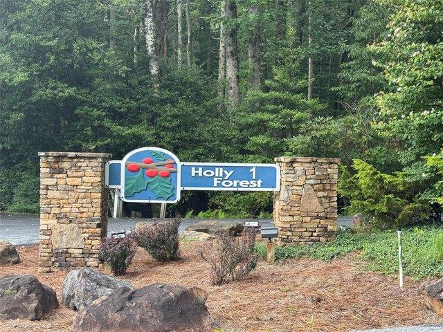 Land for sale in Transylvania, North Carolina