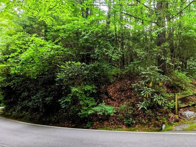 Land for sale in Sapphire, Transylvania County