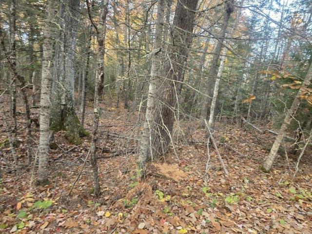 Land for sale in Swanville, Waldo County