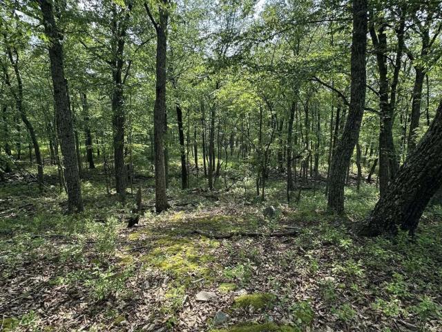 Land for sale in Beach Lake, Pennsylvania