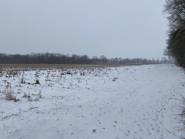 Land for sale in Branch, Michigan