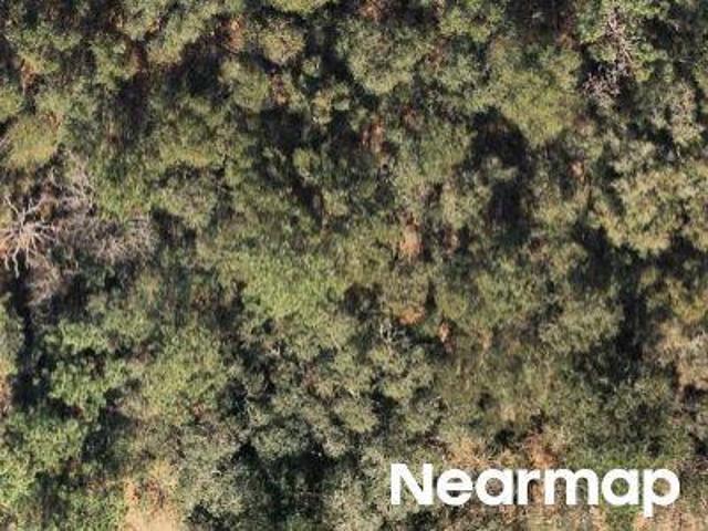 Land for sale in Florida