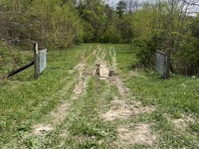 Land for sale in Michigan