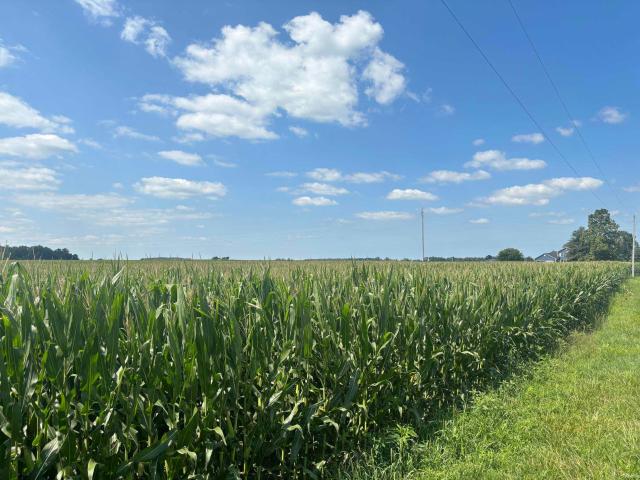 Land for sale in Gaston, Indiana