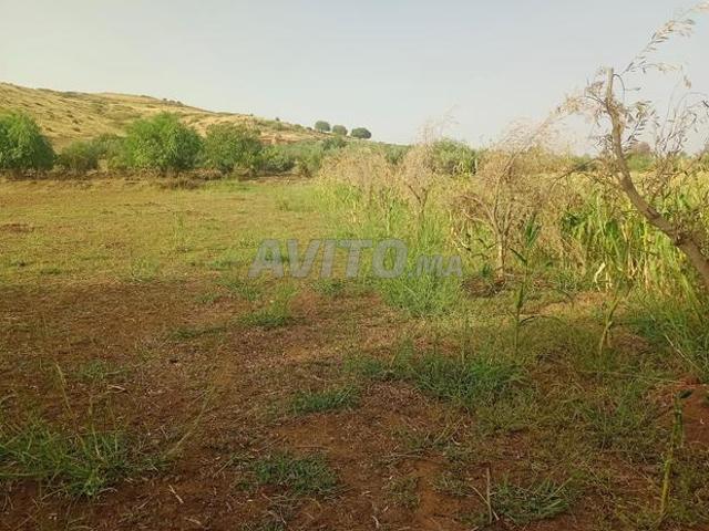 Propriété vente à Oued Ifrane حد واد إيفران, Province d'Ifrane ⵜⴰⵙⴳⴰ ⵏ ⵉⴼⵔⴰⵏ إقليم إفران