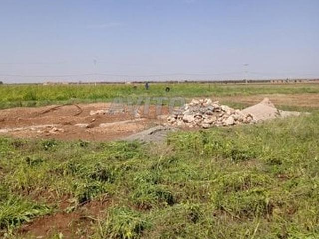 Propriété vente à Mellal