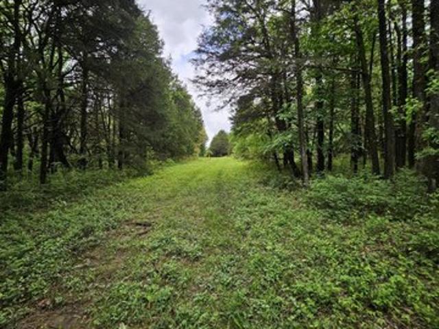 Land for sale in Jerico Springs, Missouri