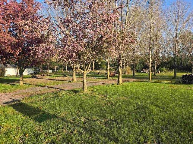 Land for sale in Laingsburg, Michigan