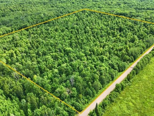 Land for sale in Sawyer, Wisconsin