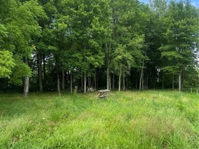 Land for sale in Minerva, Ohio