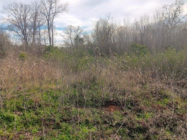 Land for sale in Palestine, Texas