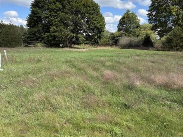 Land for sale in Ionia, Michigan