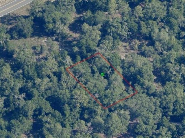 Land for sale in Dunnellon, Florida