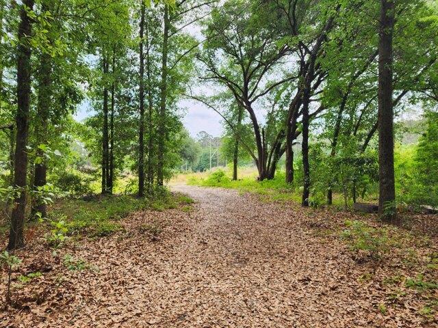 Land for sale in Moncks Corner Land for sale in Moncks Corner