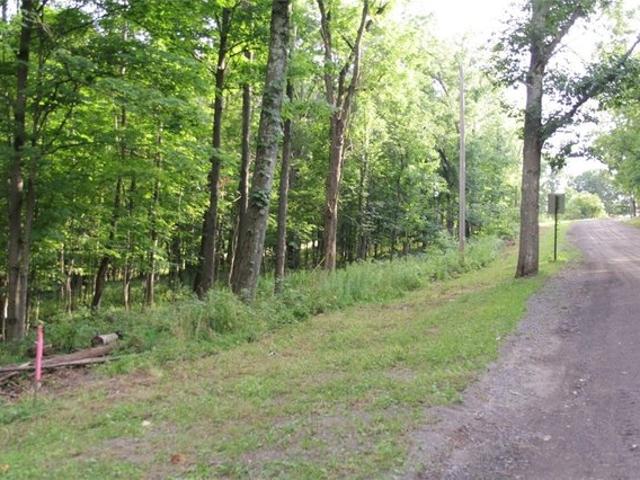Land for sale in Ithaca, New York