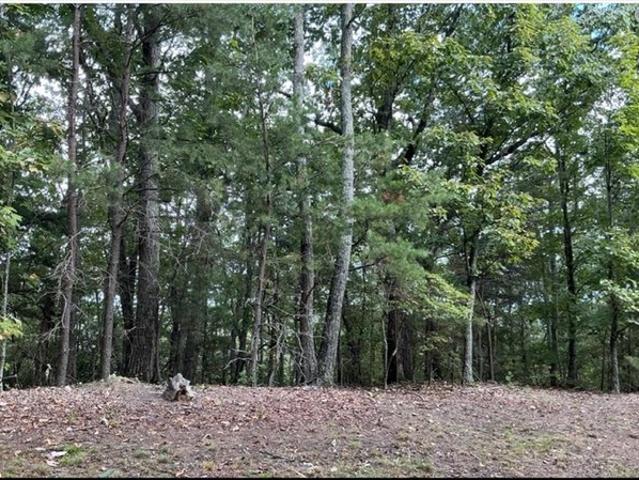 Land for sale in Pickens, Georgia