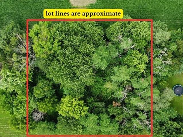 Land for sale in Mount Olive, Illinois