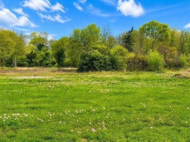 Land for sale in Wharton, Texas