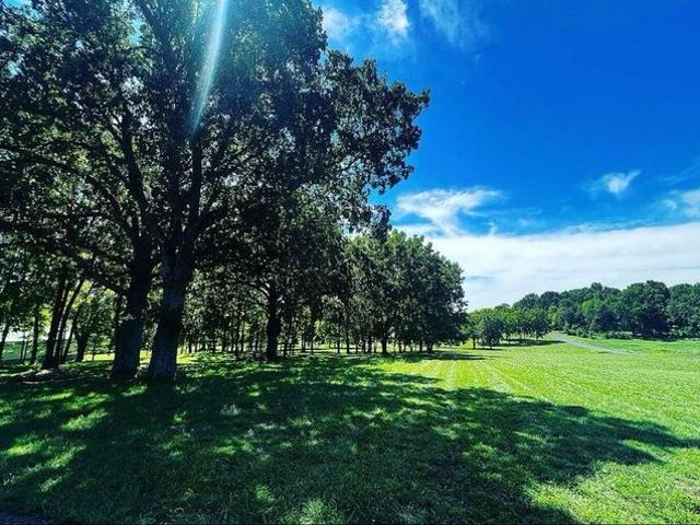 Land for sale in Republic, Missouri