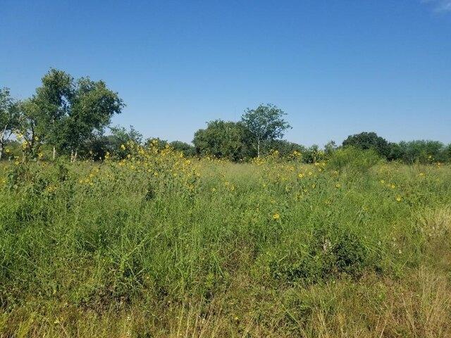 Land for sale in Beeville