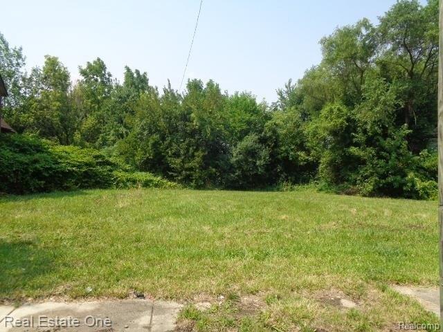 Land for sale in Detroit Land for sale in Detroit