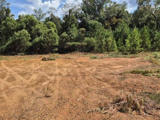 Land for sale in Evergreen, Alabama