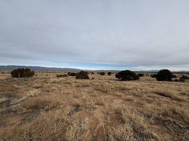 Land for sale in New Mexico