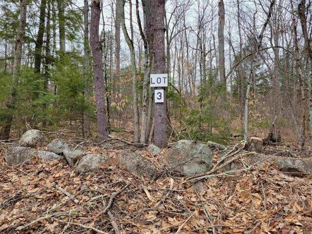 Land for sale in Fryeburg, Maine
