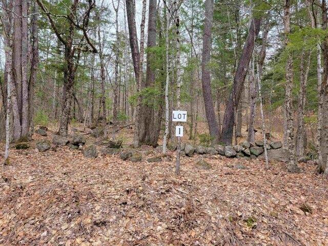 Land for sale in Fryeburg, Maine