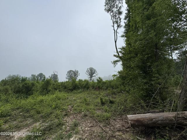Land for sale in Hazlehurst, Mississippi
