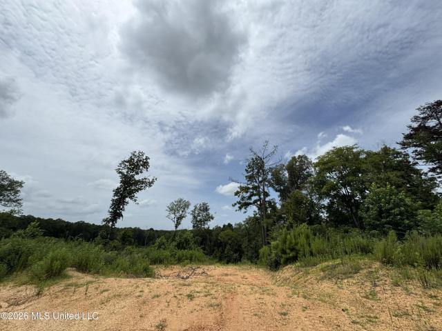 Land for sale in Hazlehurst, Mississippi