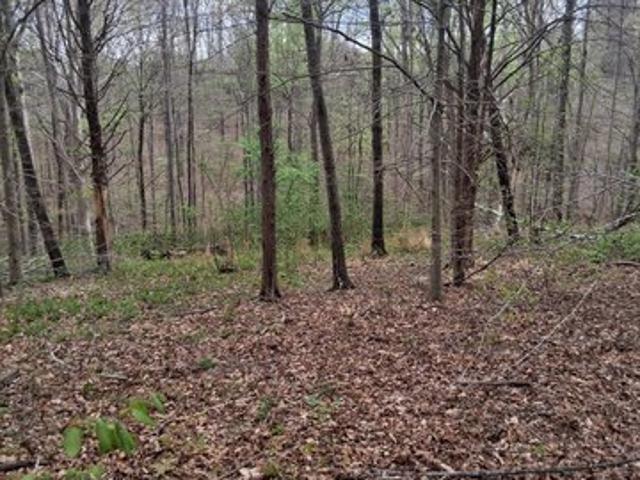 Land for sale in Westmoreland, Middle Tennessee
