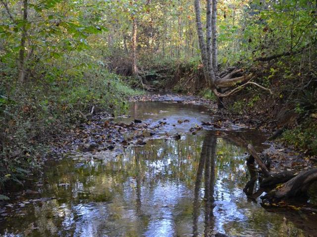 Land for sale in Chatham, Pittsylvania County