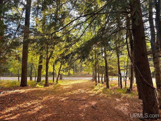 Land for sale in Gulliver, Doyle Township