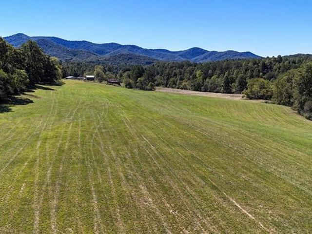 Land for sale in Warne, Clay County