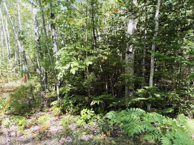 Land for sale in Newcastle, Maine