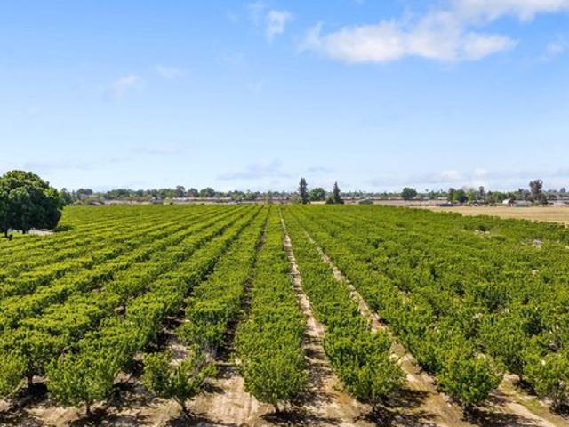 Land for sale in Lemoore, California