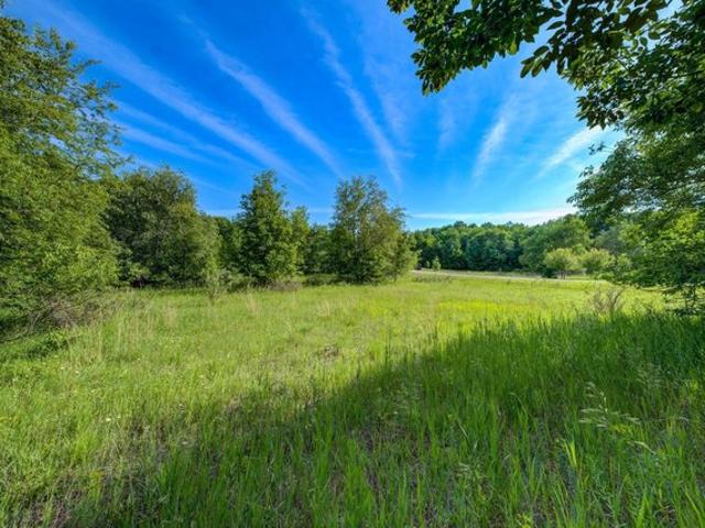 Land for sale in Maple City, Michigan