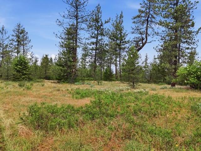 Land for sale in Nine Mile Falls, Washington