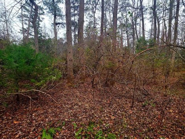 Land for sale in Virginia