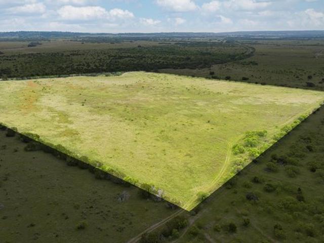 Farm for sale in Lometa, Texas