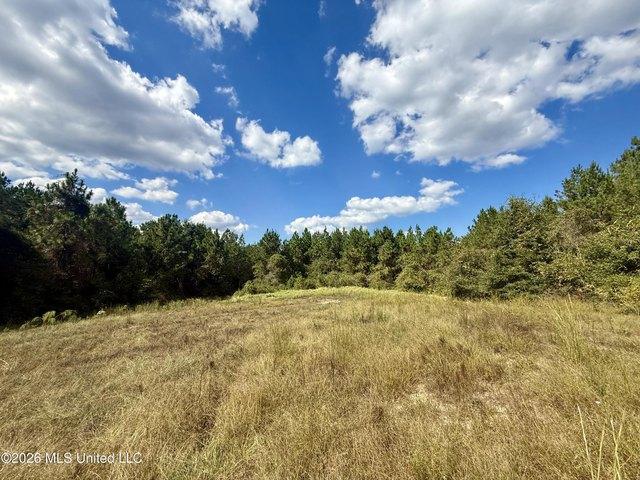 Land for sale in Lucedale, George County