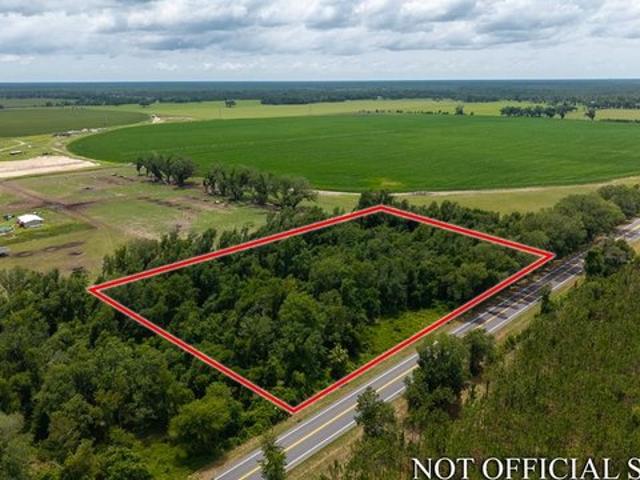 Land for sale in Mayo, Florida