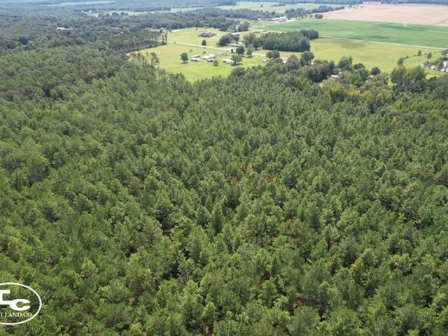 Land for sale in Century, Florida