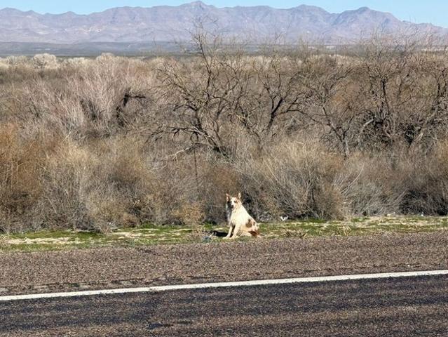 Land for sale in Amado, Arizona