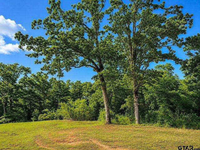 Land for sale in Wood, Texas