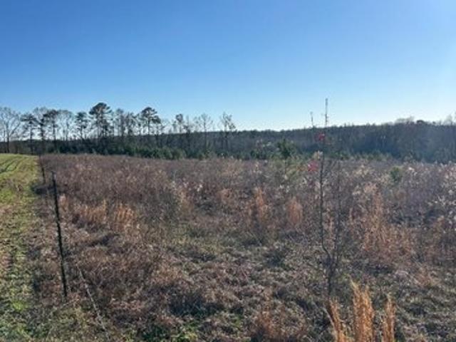 Land for sale in Evergreen, Alabama