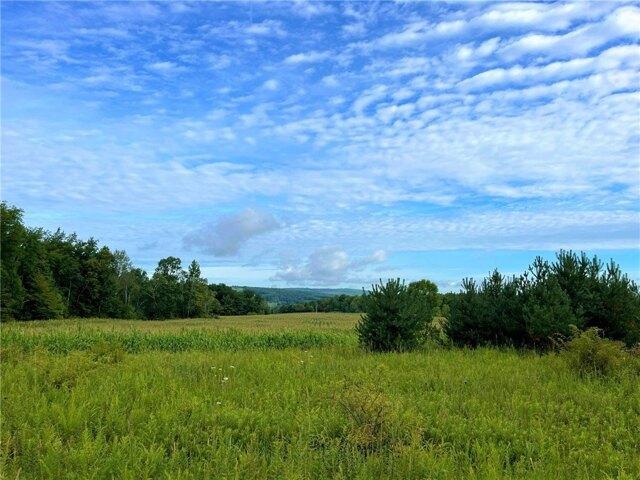 Land for sale in Cattaraugus