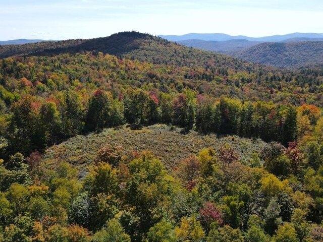 Land for sale in Jamaica, Vermont