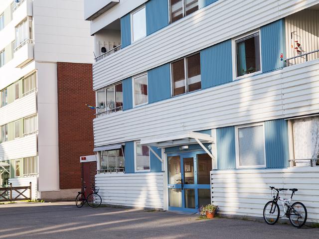 Hus hyra i Piteå, Norrbotten